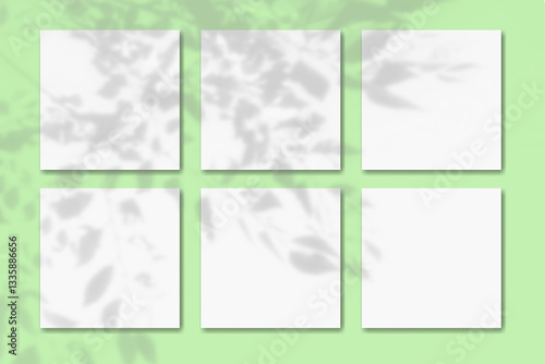 Natural light casts shadows from the foliage of a tree on 6 square sheets of white paper lying on a green background. Mockup