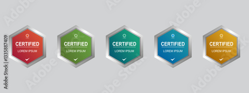 Certificate badge hexagon template vector illustration