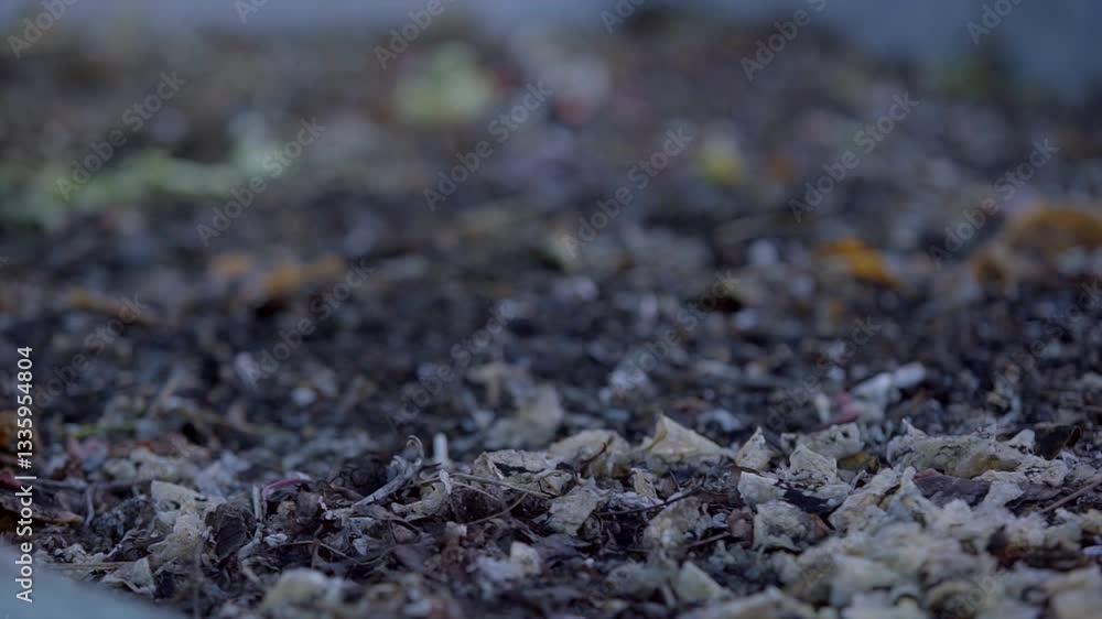 Compost made from household waste and plastic Compost made from household waste and plastic