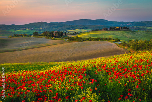 Obraz na płótnie Picturesque plowed lands and blooming colorful flowers, Tuscany, Italy w salonie