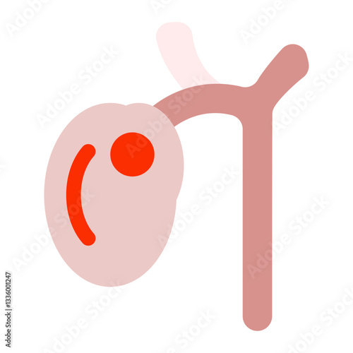 gall bladder icon