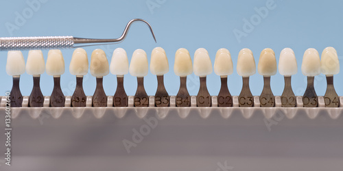 Tooth shade guide with dental scaler tool
