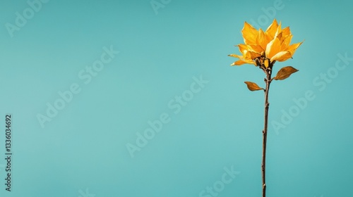 A single yellow flower with a brown stem and leaves against a blue background.