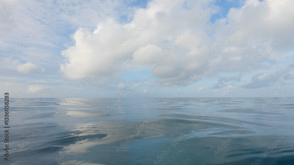 Fototapeta premium POV of swimming in empty ocean background with calm water