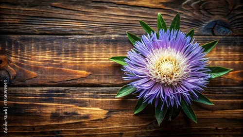 Overhead Perspective of Stokesia Flower on Wooden Surface - Low Light Photography, High Contrast, Shallow Depth of Field, Copy Space for Design Elements photo