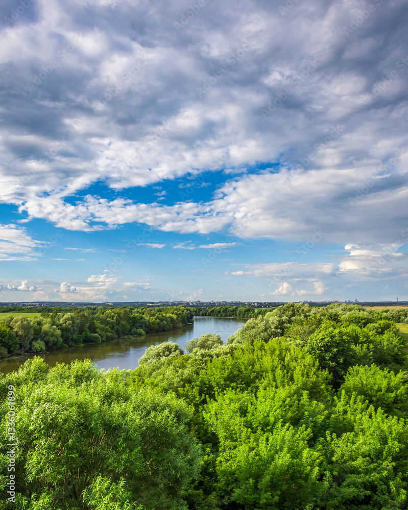Obraz premium Beautiful, lush green forest with a river running through it