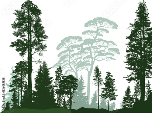 dark and light green trees in isolated on white forest