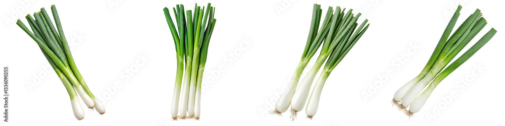 A bundle of fresh organic scallions or green onions a versatile culinary ingredient commonly used in various cuisines A bundle of fresh organic scallions or green onions a versatile culinary ingredient commonly used in various cuisines