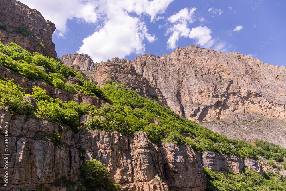 Fototapeta premium Green trees on beautiful rocks high in the mountains.
