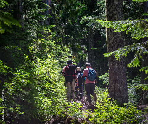 Backpackers hiking Summit Lake Trail in the forest. Mt Rainier National Park. Washington State.