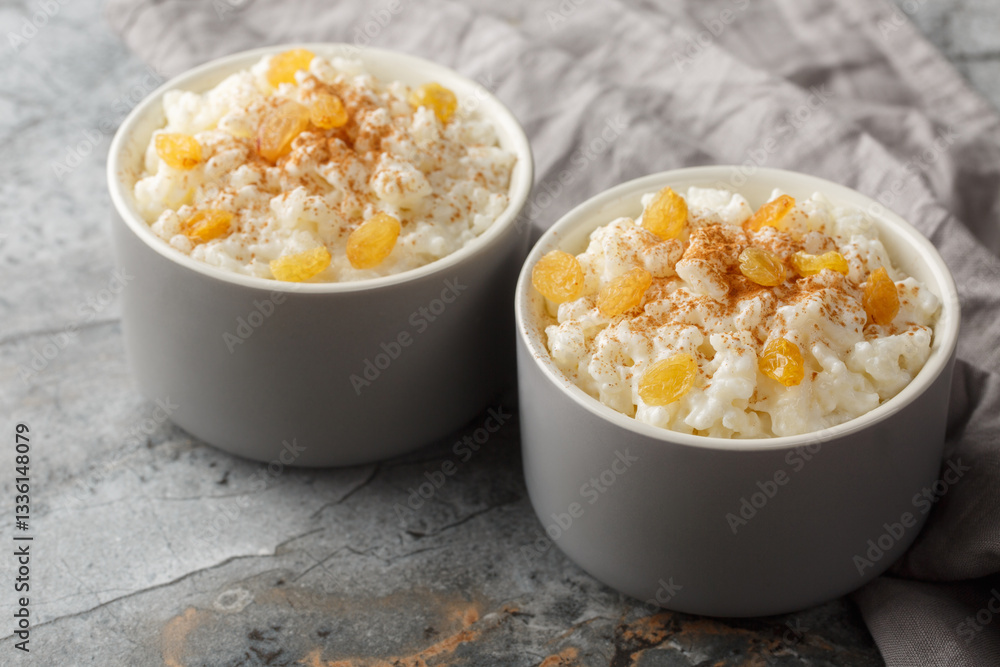 Bowl of tasty rice pudding with cinnamon, vanilla and raisins closeup on the table. Horizontal