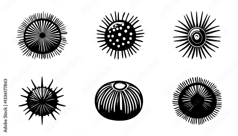 Fototapeta premium sea ​​urchin silhouette set, isolated background