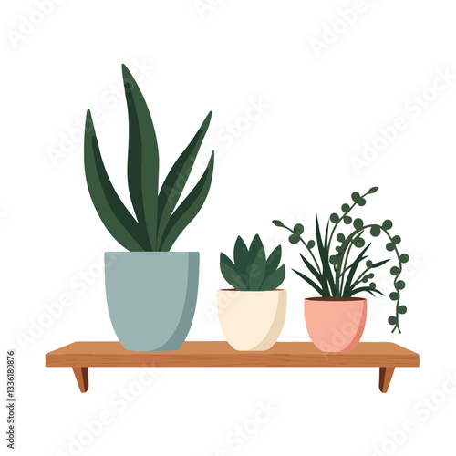 Potted houseplants arranged on wooden shelf, minimalist decor