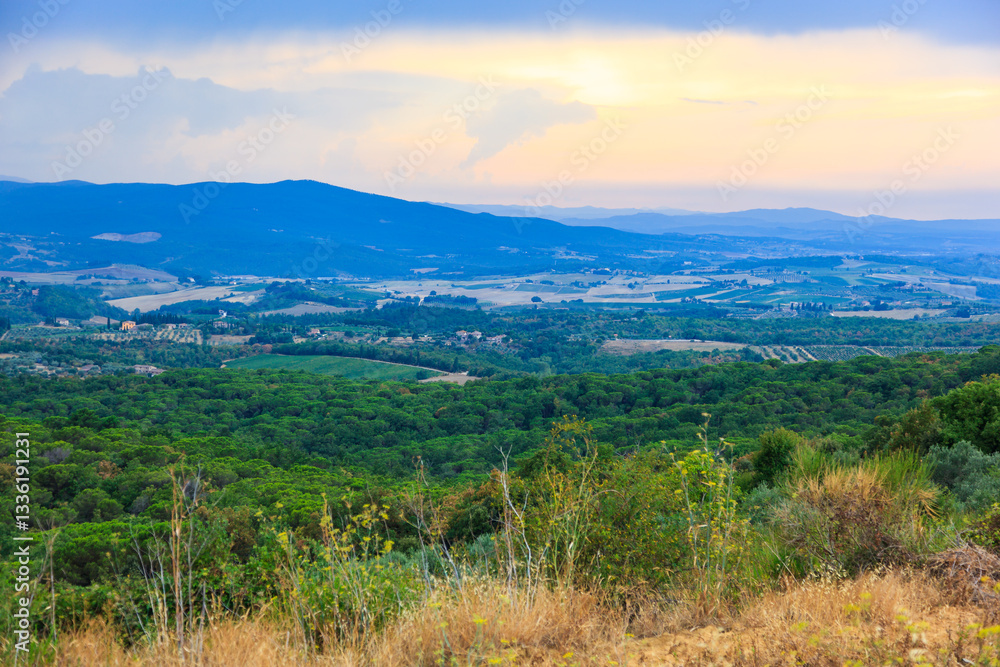 Naklejka premium Tuscany, Borgo Scopeto, Italy - August 26, 2009: Picturesque evening view of hilly natural landscape and fields with vineyards in a valley near a small town Tuscany, Italy