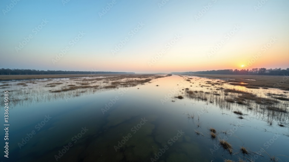 Fototapeta premium Floodplains bathed in gentle morning light, stretching under a clear spring sky. Calm waters reflect the peaceful atmosphere, surrounded by green meadows and scattered trees.