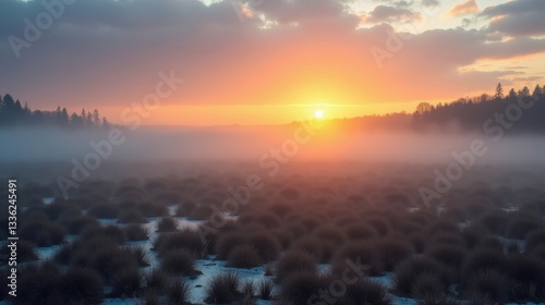 Refreshing alluvial plains at sunrise, wrapped in winter mist. The soft golden light enhances the rolling landscape, where rivers weave through frost-covered grasses under a tranquil sky.