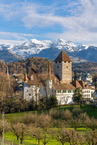Wallpaper Mural The medieval castle Spiez against the Alps snow mountain background in spring time Torontodigital.ca