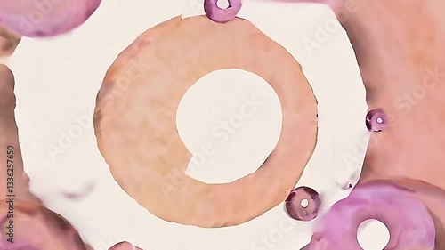 abstract circles on a pink surface