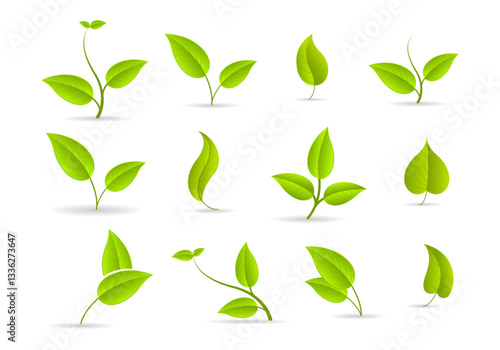 Leaf icon. Green leaves of trees and plants, various shapes. Eco vegan sprout or bio foliage elements vector set