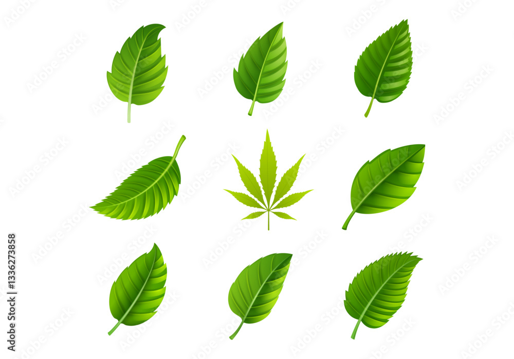 set of green leaves silhouettes set of green leaves silhouettes