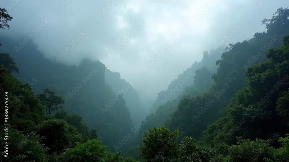 A magical cloud forest in autumn, blizzard winds swirling through moss-covered trees. Soft midday light filters through the mist, creating an enchanted atmosphere. A magical cloud forest in autumn, blizzard winds swirling through moss-covered trees. Soft midday light filters through the mist, creating an enchanted atmosphere.
