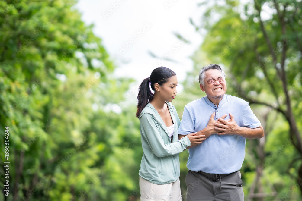 A daughter helping her father, old elderly sick senior Asian man got heart attack at park. Health problem. Retired old man chest pain.outdoor. A daughter helping her father, old elderly sick senior Asian man got heart attack at park. Health problem. Retired old man chest pain.outdoor.