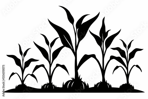 corn seedlings thriving in fertile soil line art silhouette vector illustration