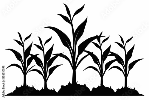 corn seedlings thriving in fertile soil line art silhouette vector illustration