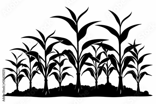 corn seedlings thriving in fertile soil line art silhouette vector illustration