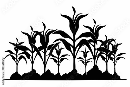 corn seedlings thriving in fertile soil line art silhouette vector illustration