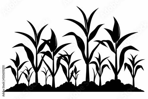 corn seedlings thriving in fertile soil line art silhouette vector illustration