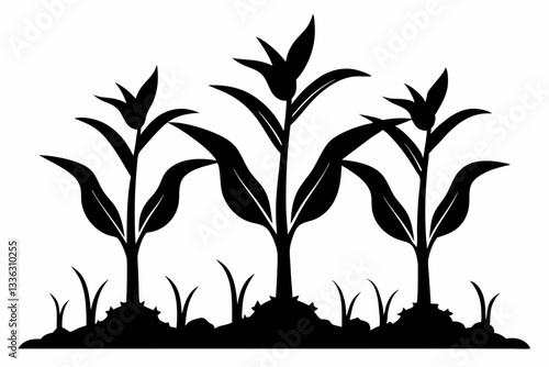 corn seedlings thriving in fertile soil line art silhouette vector illustration