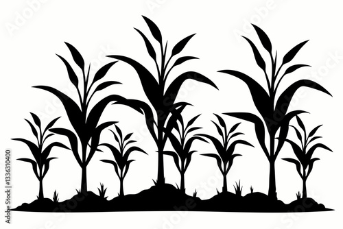 corn seedlings thriving in fertile soil line art silhouette vector illustration