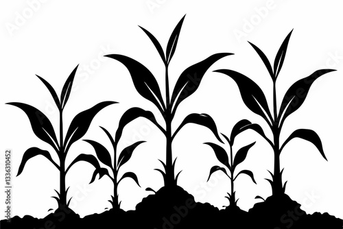 corn seedlings thriving in fertile soil line art silhouette vector illustration