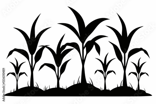 corn seedlings thriving in fertile soil line art silhouette vector illustration