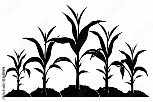 corn seedlings thriving in fertile soil line art silhouette vector illustration