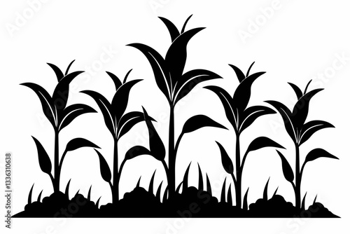 corn seedlings thriving in fertile soil line art silhouette vector illustration