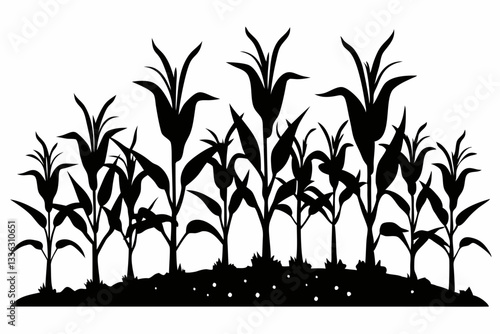 corn seedlings thriving in fertile soil line art silhouette vector illustration