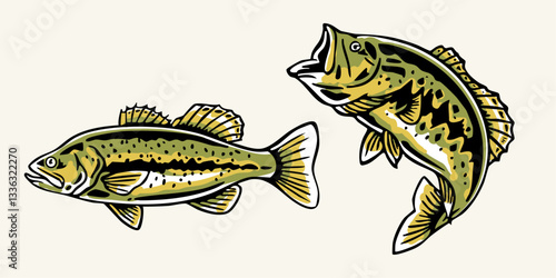 Two bass fish vector illustrations. Angled, detailed, for fishing, nature designs. Ideal for fishing logos, apparel, stickers, and outdoor-themed designs