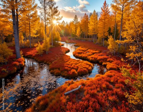 Autumn muskeg in Canada with cranberry bogs. Vibrant red contrasts against golden tamarack in a vast wetland