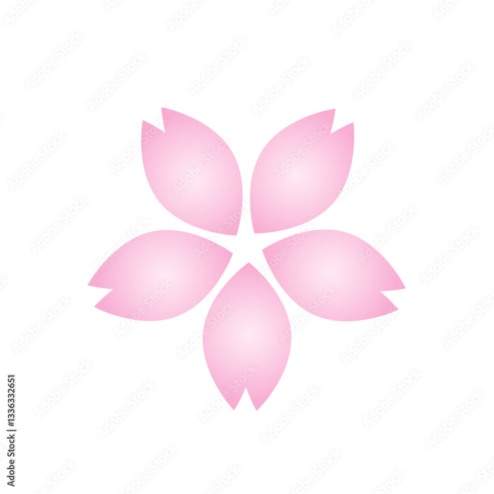 sakura flower pink vector illustration isolated on white sakura flower pink vector illustration isolated on white