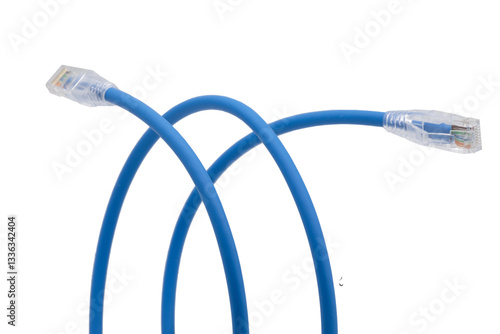 Blue network cables with molded RJ45 plug on transparent background (PNG File)	
