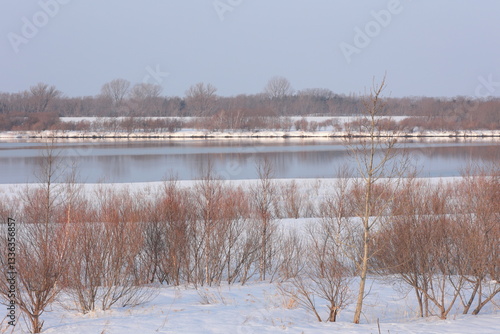 Wallpaper Mural 霧がかかる石狩川河川敷　3月初旬朝 Torontodigital.ca