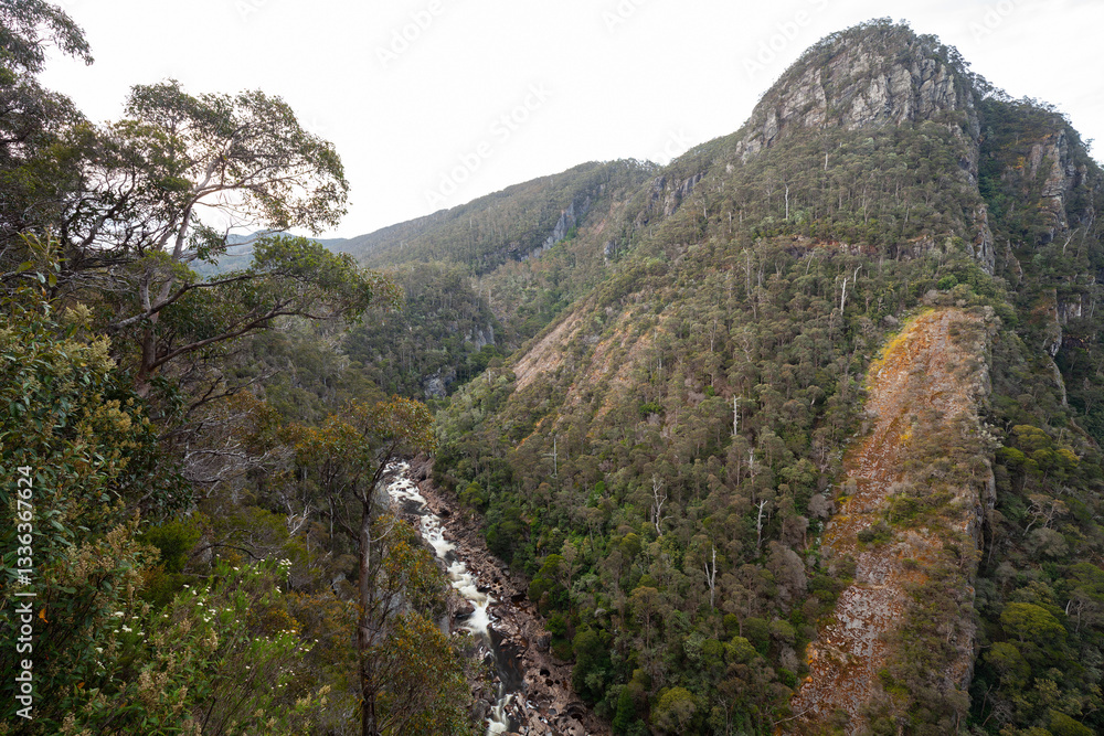Vom Aussichtspunkt des Leven Canyon bietet sich ein beeindruckender Blick auf die tief eingeschnittene Schlucht und den Leven River. Vom Aussichtspunkt des Leven Canyon bietet sich ein beeindruckender Blick auf die tief eingeschnittene Schlucht und den Leven River.