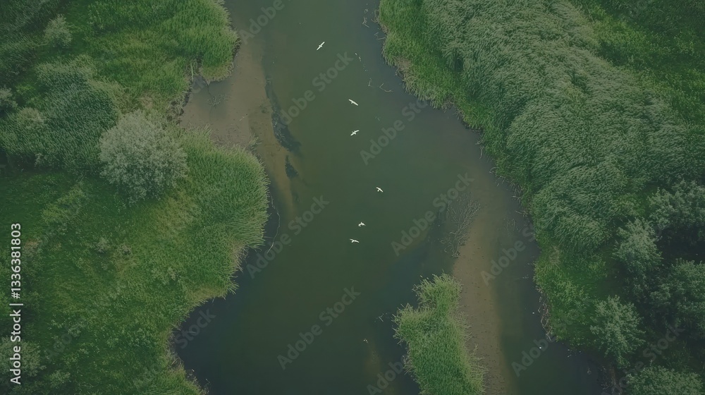 Overhead aerial view shows a river flowing between green vegetation Overhead aerial view shows a river flowing between green vegetation