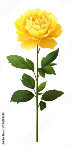 Bright Yellow Peony Flower with Lush Green Leaves on a White Background for Decorative Use