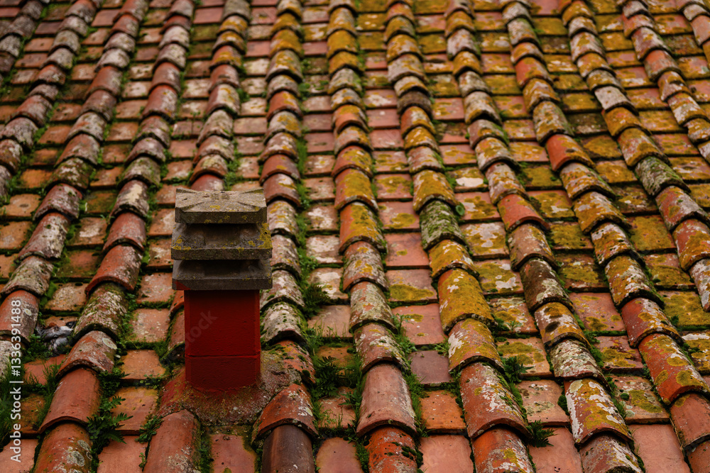 Fototapeta premium Detailed close-up of weathered red tile rooftop covered in patches of moss and vegetation, small chimney. The scene captures the rustic charm of aged architecture.