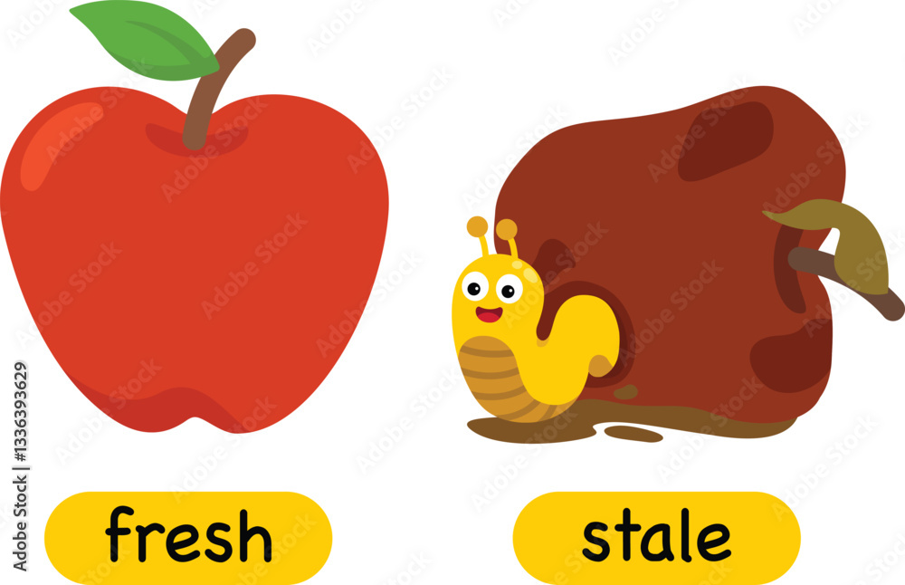 Fotografie Opposite words fresh and stale vector illustration