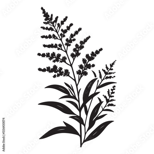 Goldenrod Silhouette Vector Graphic for Floral and Botanical Illustrations