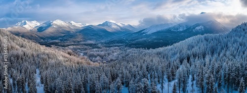 drone shooting view of beautiful nature. Selective focus.